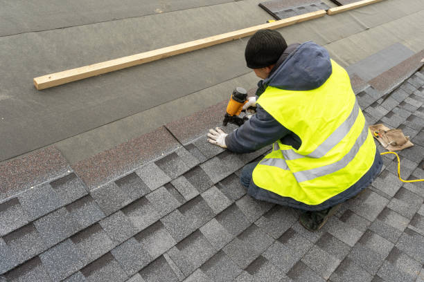 Best Roof Gutter Cleaning  in Underwood Petersville, AL