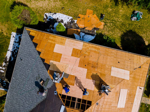 Best Tile Roofing Contractor  in Underwood Petersville, AL