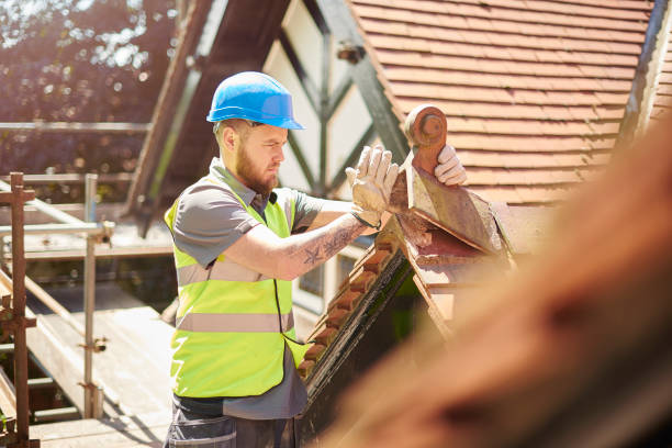 Professional Roofing Contractor in Underwood Petersville, AL